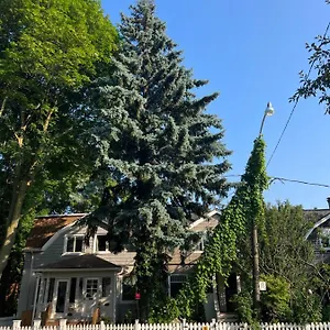 Cabbagetown Retreat Toronto